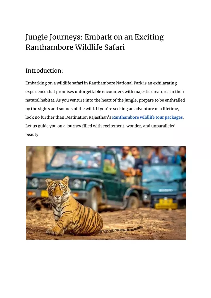 jungle journeys embark on an exciting ranthambore