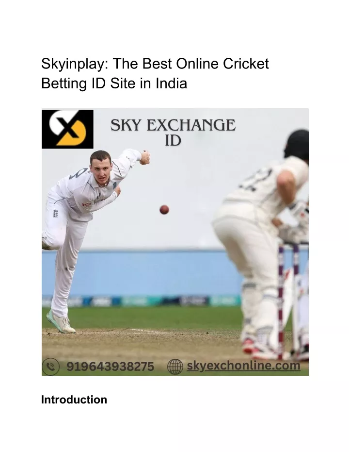 skyinplay the best online cricket betting id site