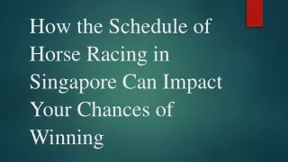How the Schedule of Horse Racing in Singapore Can Impact Your Chances of Winning