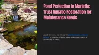 Pond Perfection in Marietta Trust Aquatic Restoration for Maintenance Needs