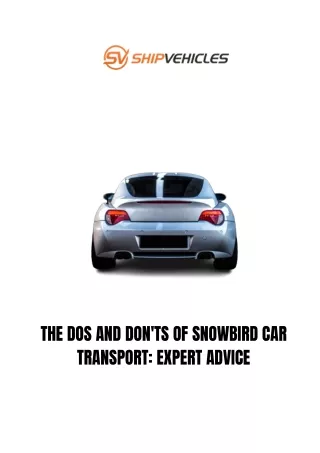 The Dos and Don'ts of Snowbird Car Transport Expert Advice