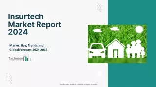 insurtech market report 2024