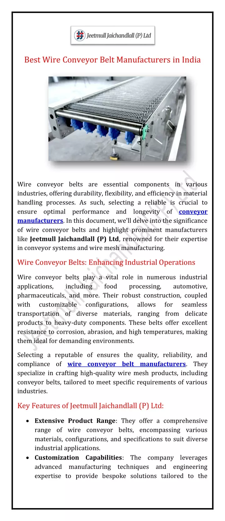 best wire conveyor belt manufacturers in india