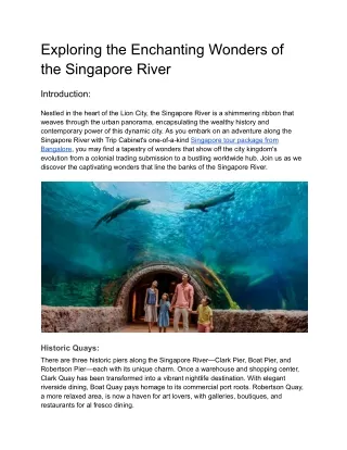 Exploring the Enchanting Wonders of the Singapore River-compressed