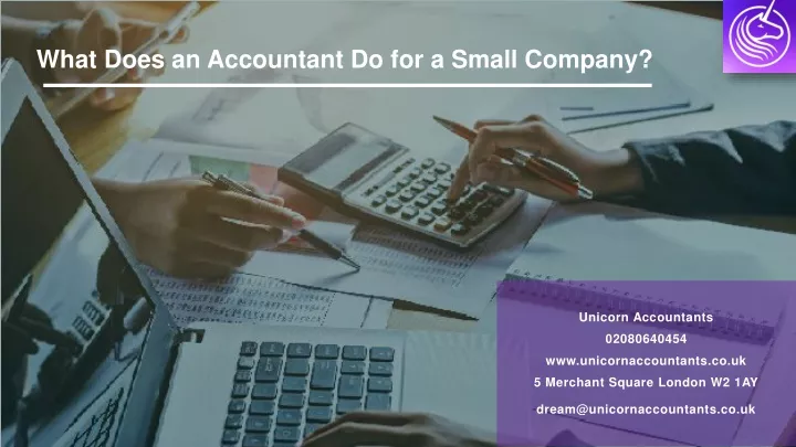 what does an accountant do for a small company