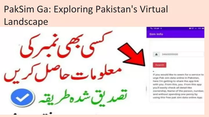 paksim ga exploring pakistan s virtual landscape
