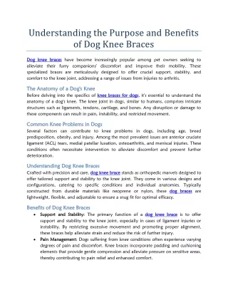 Understanding the Purpose and Benefits of Dog Knee Braces