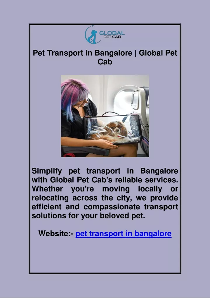 pet transport in bangalore global pet cab