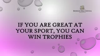 If You Are Great At Your Sport, You Can Win Trophies