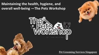 Maintaining the health, hygiene, and overall well-being — The Pets Workshop