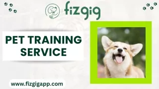 Explore Pet Training Service - Download The Fizgig App