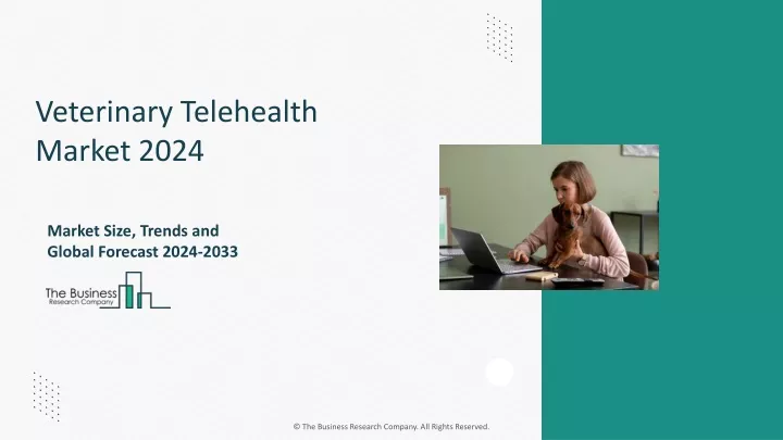 veterinary telehealth market 2024