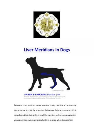 Liver Meridians In Dogs