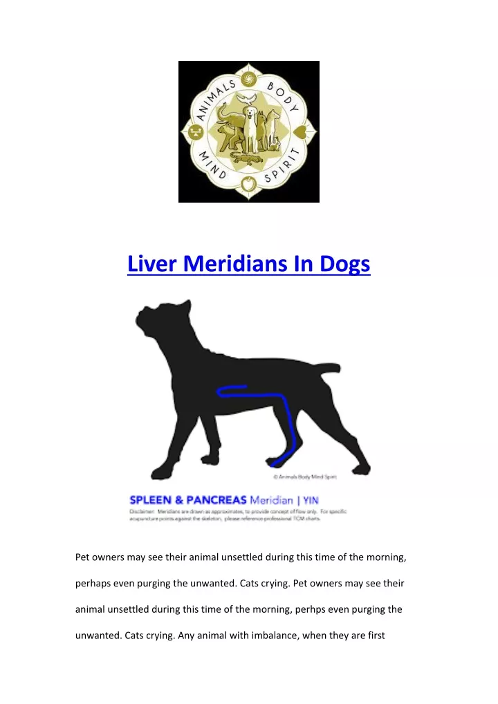 liver meridians in dogs