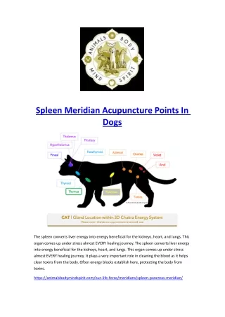 Spleen Meridian Acupuncture Points In Dogs