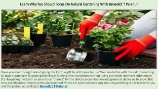 Learn Why You Should Focus On Natural Gardening With Benedict T Palen Jr