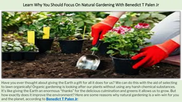 learn why you should focus on natural gardening with benedict t palen jr