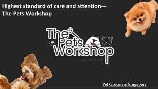 Highest standard of care and attention—The Pets Workshop