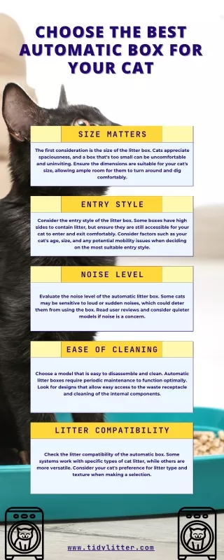 Choose the Best Litter Box for Your Cat