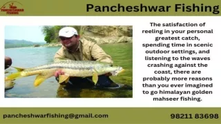 Himalayan Golden Mahseer Fishing