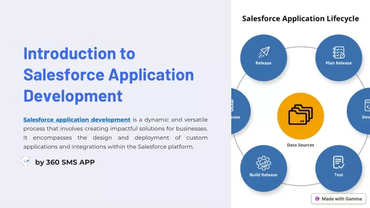 introduction to salesforce application development