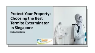 Protect Your Property: Choosing the Best Termite Exterminator in Singapore
