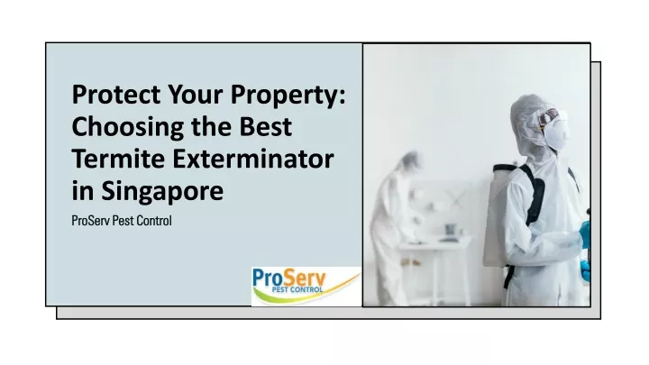 protect your property choosing the best termite exterminator in singapore