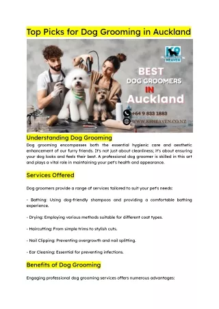 Best Dog Grooming in Auckland