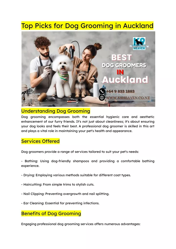 top picks for dog grooming in auckland