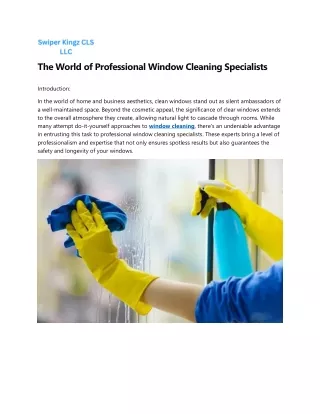 the world of professional window cleaning