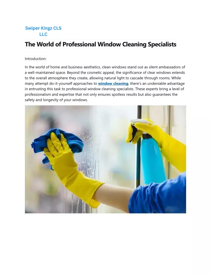 the world of professional window cleaning
