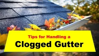 Tips for Handling a Clogged Gutter