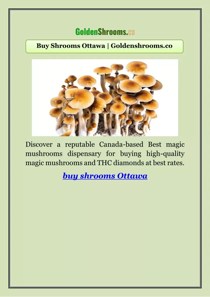 buy shrooms ottawa goldenshrooms co
