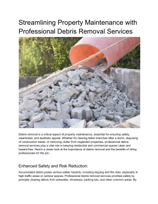 Streamlining Property Maintenance with Professional Debris Removal Services