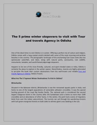 The 5 prime winter stopovers to visit with Tour and travels Agency in Odisha