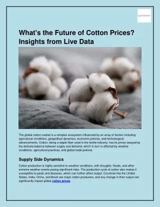 What's the Future of Cotton Prices_ Insights from Live Data