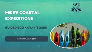 Explore Naples, Florida: Kayak Tours with Mike's Coastal Expeditions