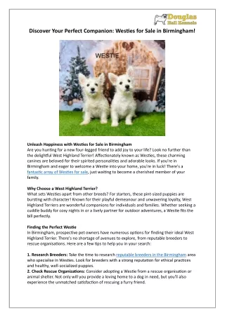 Birmingham Westies | Find Your Loyal & Lively Pup Today | Douglas Hall Kennels