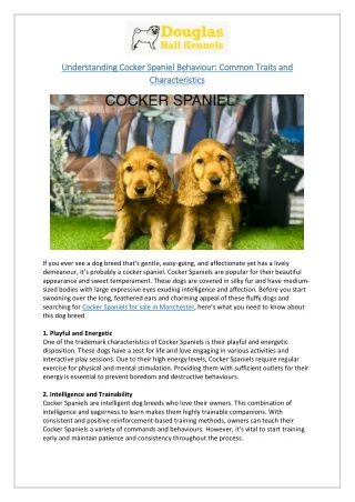 Cocker Spaniel Behaviour Explained - Find Yours for Sale in Manchester & Birmingham