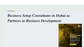 Business Setup Consultants in Dubai as Partners in Business Development (1)
