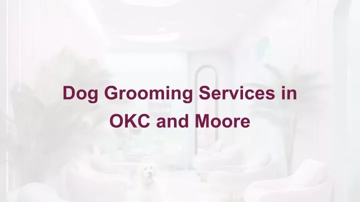 dog grooming services in okc and moore