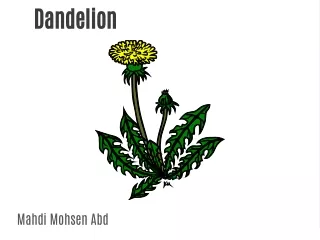 dandelion