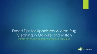 Expert Tips for Upholstery & Area Rug Cleaning in Oakville and Milton