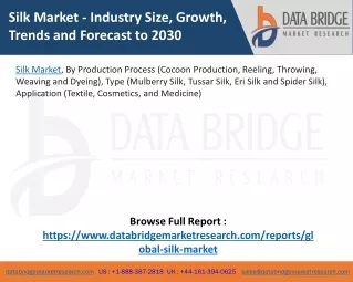 silk market industry size growth trends