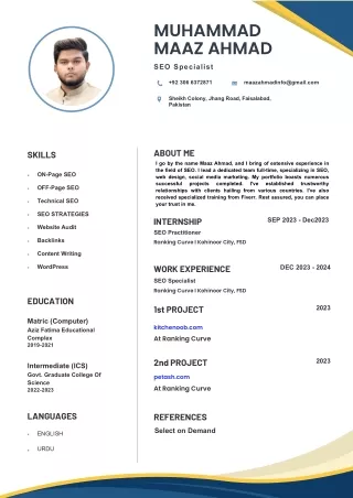 Maaz SEO CV (1)