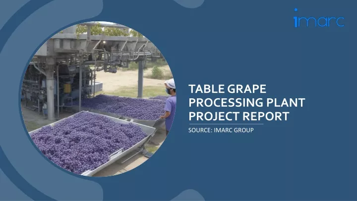 table grape processing plant project report