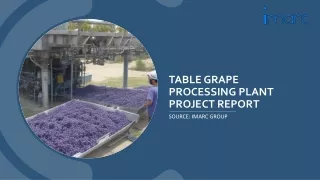 table grape processing plant project report