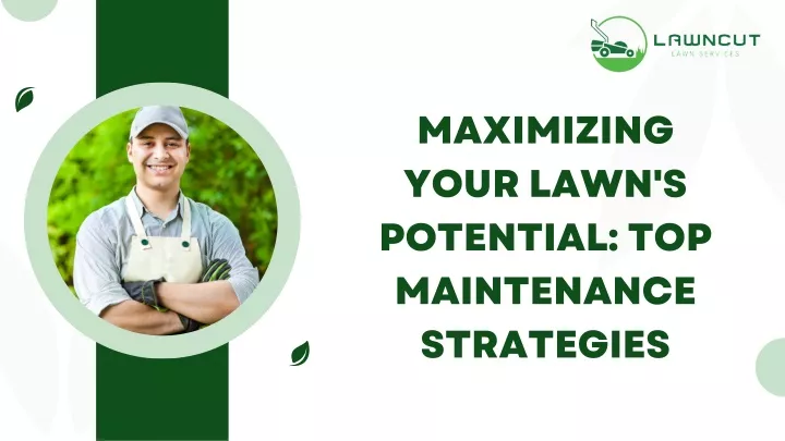 maximizing your lawn s potential top maintenance