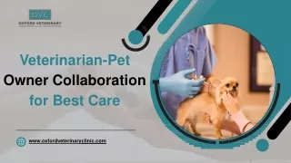 Veterinarian-Pet Owner Collaboration for Best Care