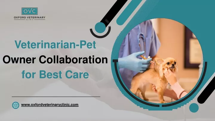 veterinarian pet owner collaboration for best care